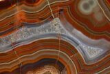 Colorful, Polished Condor Agate - Argentina #323863-1